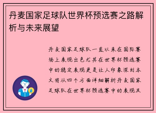 丹麦国家足球队世界杯预选赛之路解析与未来展望
