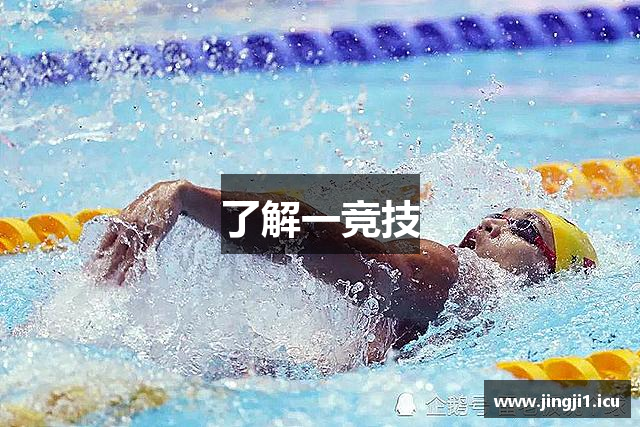 了解一竞技